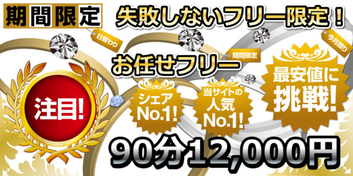 おまかせフリー90分12000円
